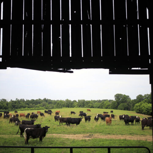 data-center-builders-thought-farmers-would-willingly-sell-land,-learn-otherwise