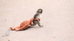 htx-expands-its-philanthropic-footprint:-connecting-global-kindness-through-the-“punch-spirit”