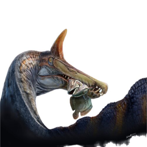 a-unicorn-like-spinosaurus-found-in-the-sahara