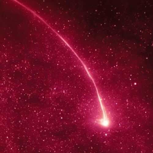 Verdict: Yes, you should go see Project Hail Mary as soon as possible