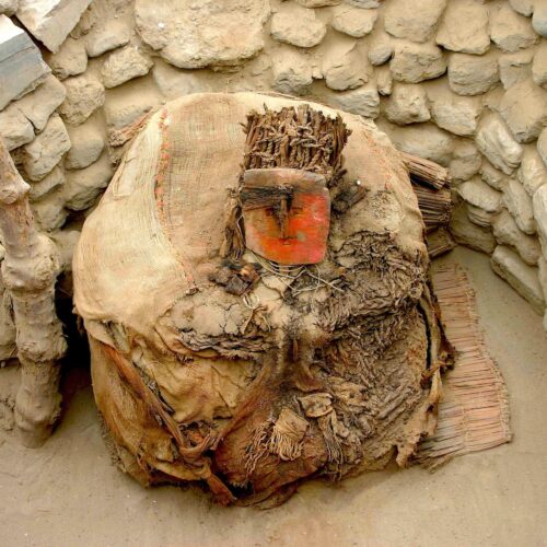 centuries-before-the-inca,-peru’s-wealthy-imported-parrots-from-afar