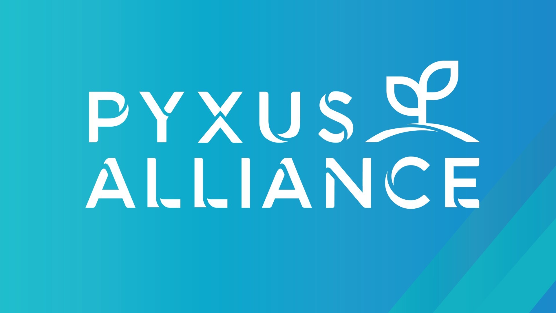 pyxus-empowers-growers-with-new-mobile-app