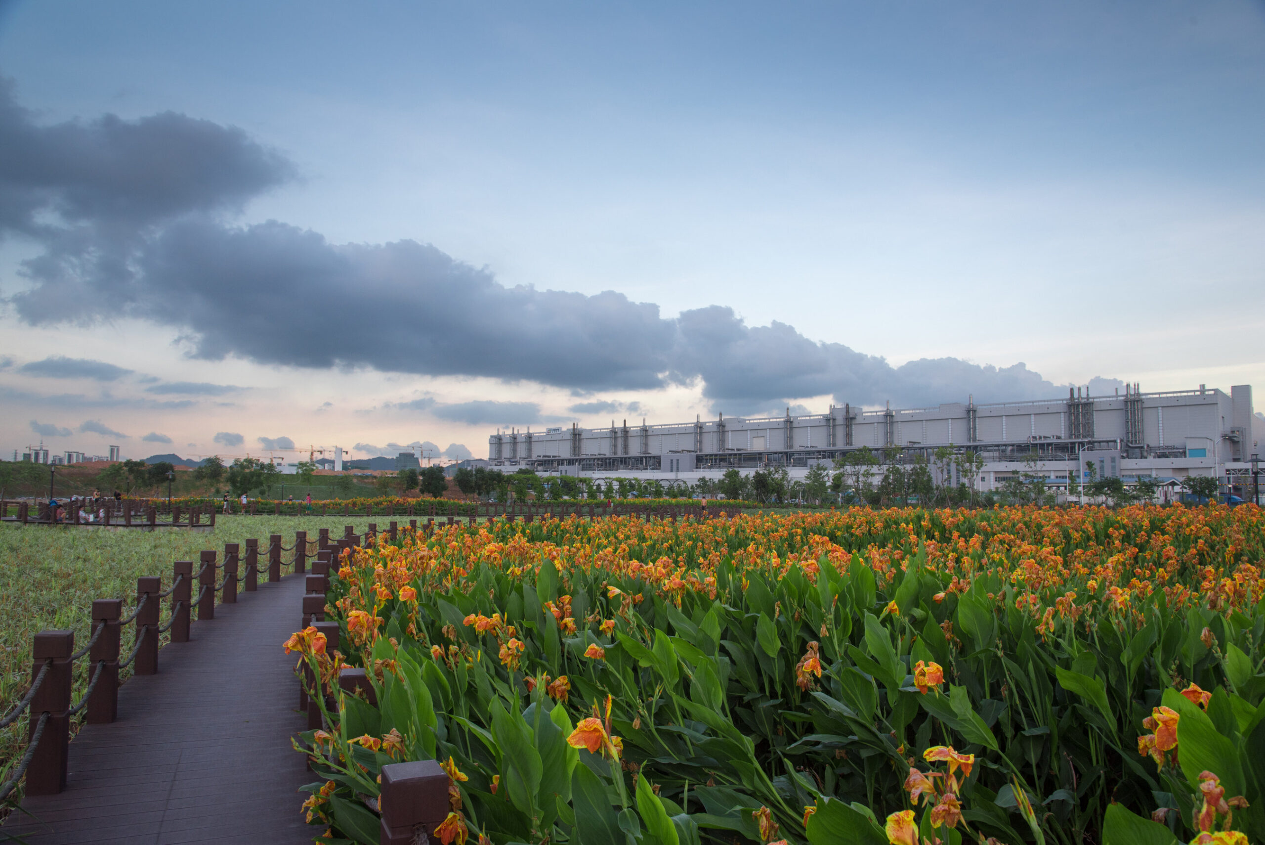 tcl-is-a-“doer”:-embedding-esg-to-create-positive-impact-across-the-global-value-chain