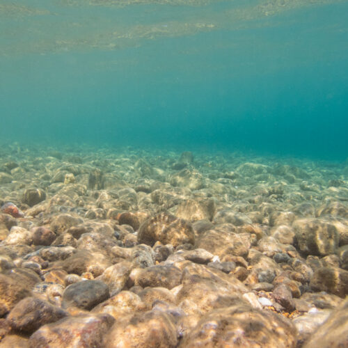 Mining the deep ocean