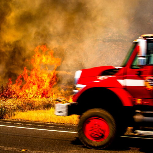 study-says-roads-bring-more-fires-to-forests;-usda-wants-more-roads-to-fight-fires