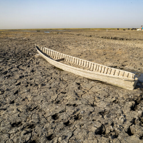 antibiotic-resistance-among-germs-swells-during-droughts,-study-suggests