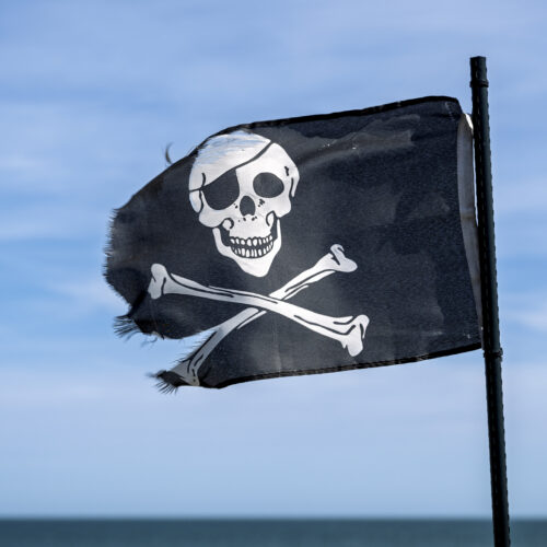 authors’-lucky-break-in-court-may-help-class-action-over-meta-torrenting