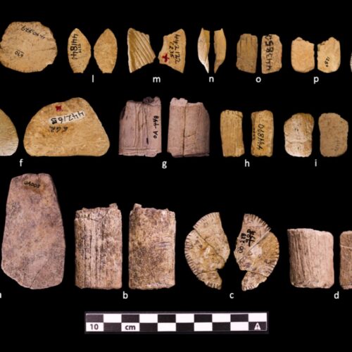 ice-age-dice-show-early-native-americans-may-have-understood-probability
