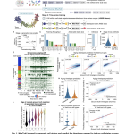 Meet MaxToki: The AI That Predicts How Your Cells Age — and What to Do About It