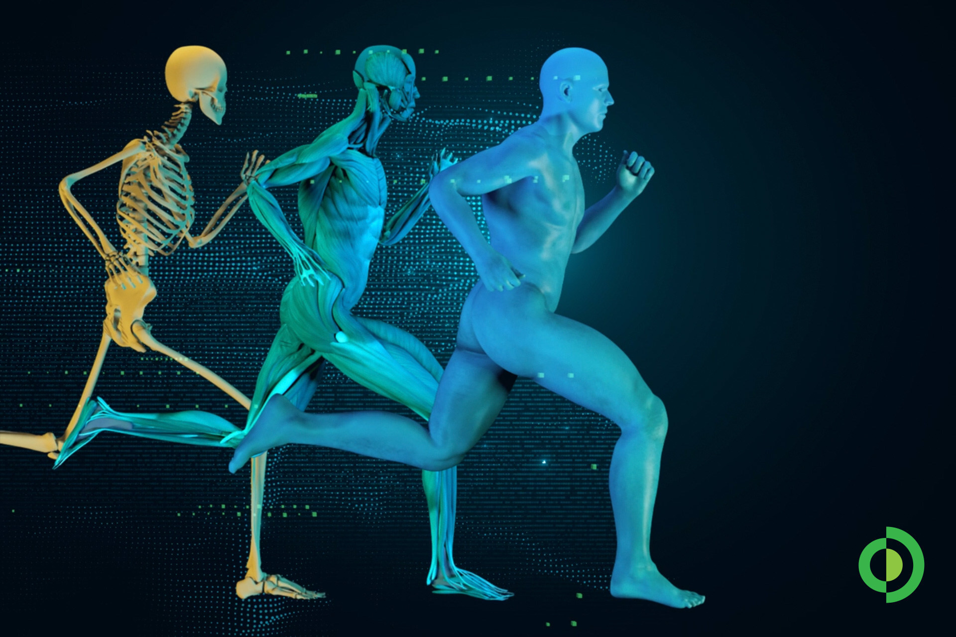 Advita Ortho Showcases New AI-Driven Research Advancing Personalized Joint Replacement