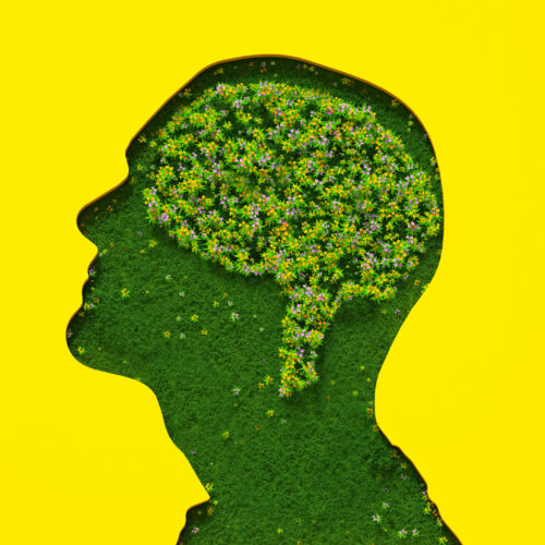 ai-on-the-couch:-anthropic-gives-claude-20-hours-of-psychiatry