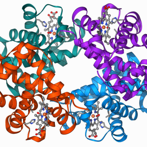 clinical-trial-shows-gene-editing-works-for-β-thalassaemia,-too