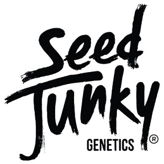 Seed Junky Genetics Founder JBeezy Announces Return of the MINNTZ® Brand