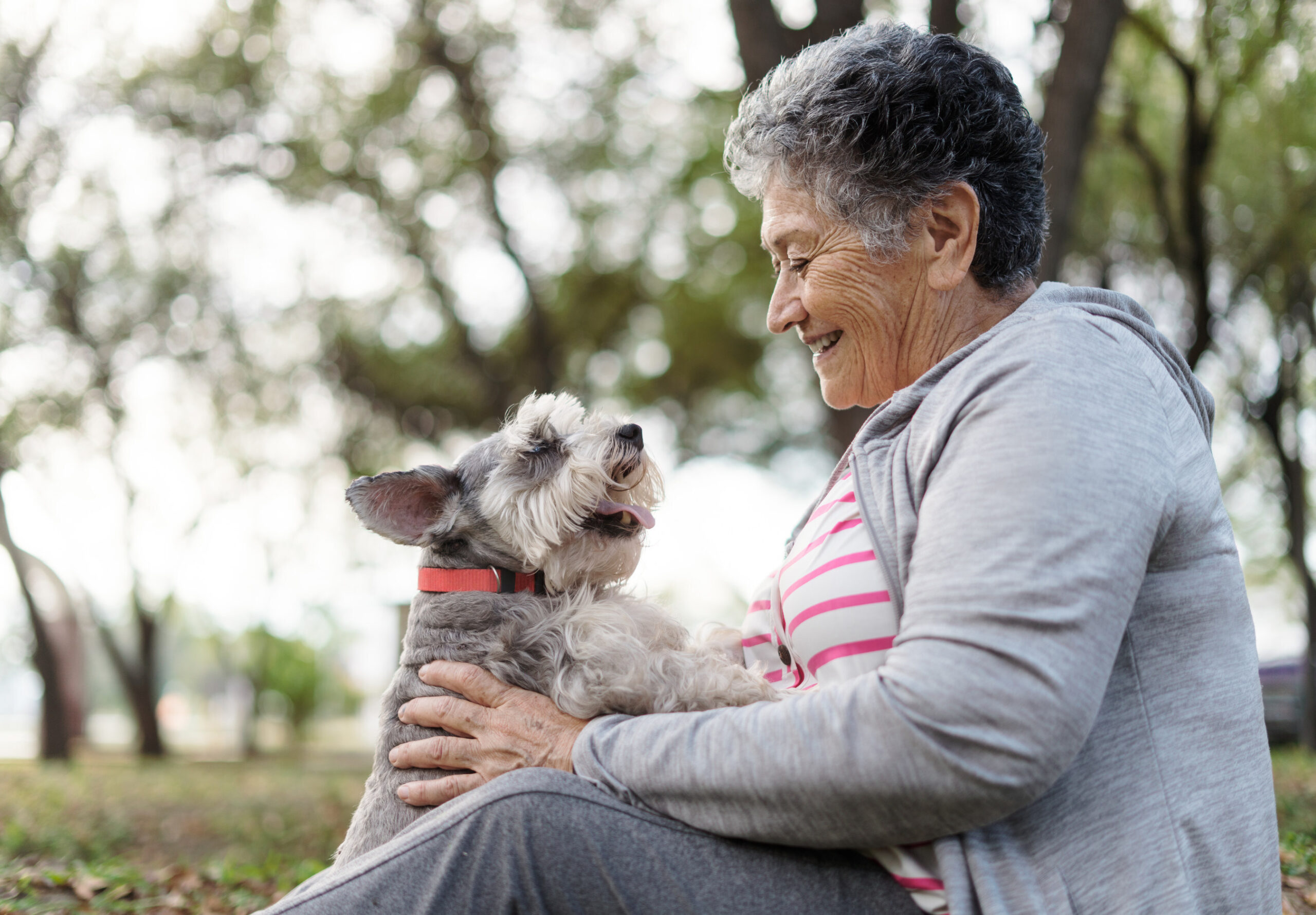 can-pets-help-you-live-longer?-new-research-to-investigate-the-link-between-pet-ownership,-psychosocial-and-health-behaviors,-and-mortality-among-older-adults