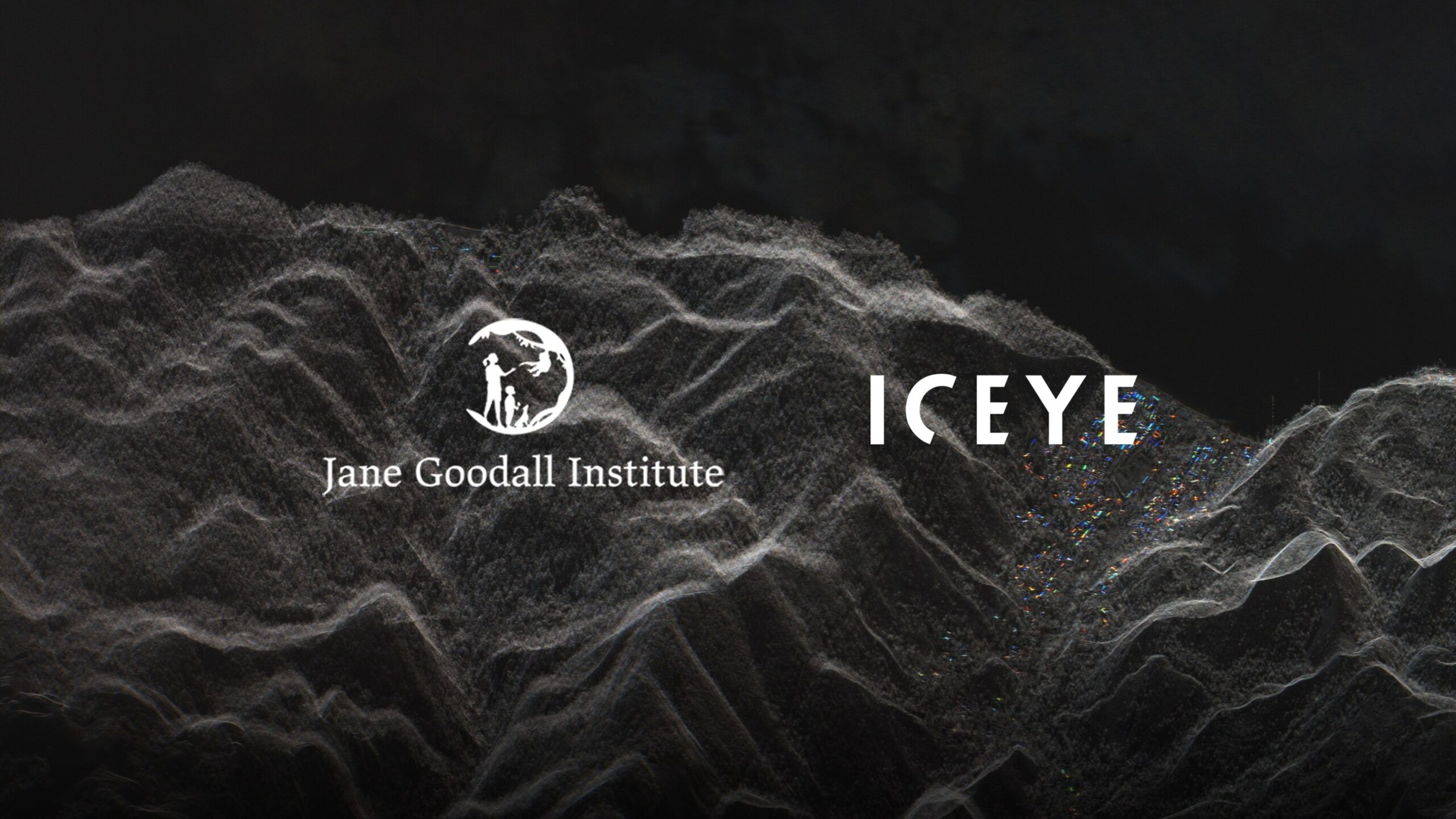 iceye-and-the-jane-goodall-institute-deploy-sar-based-deforestation-monitoring-to-protect-congo-basin-wildlife-habitats