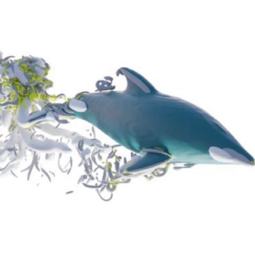 research-roundup:-6-cool-science-stories-we-almost-missed