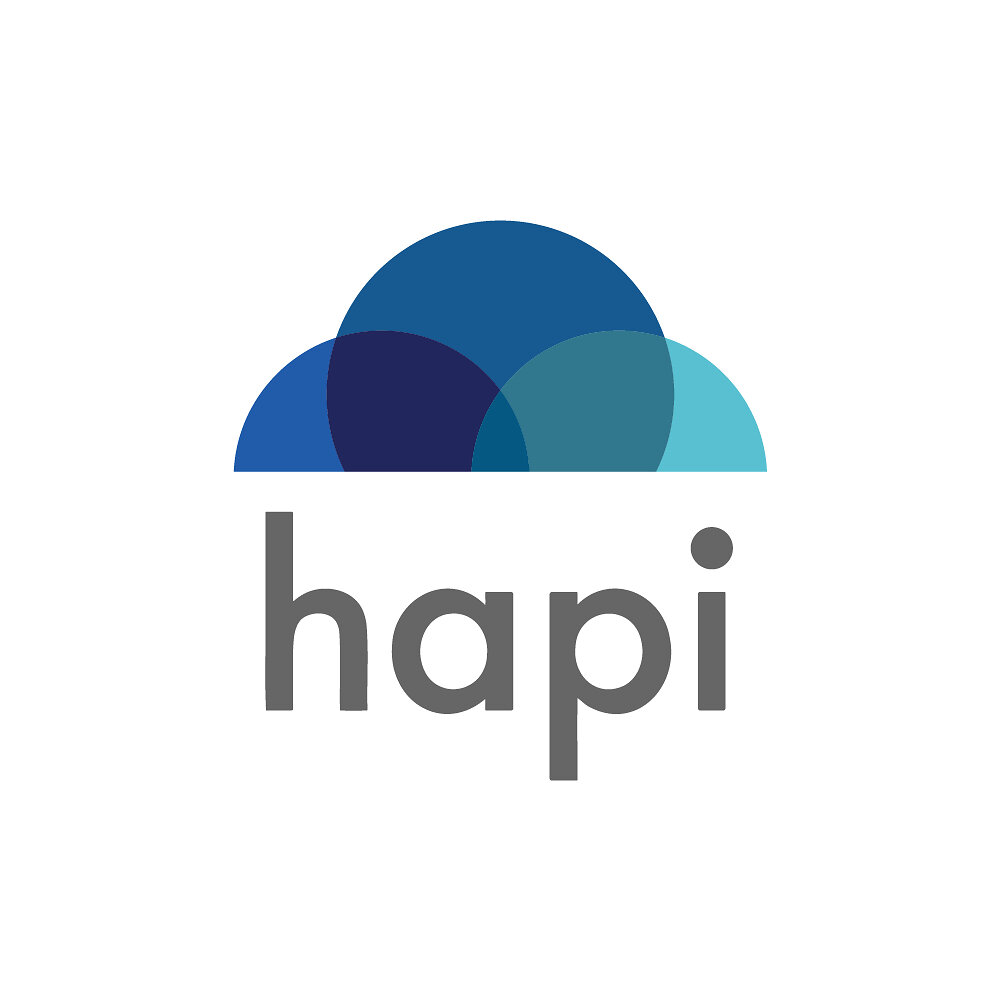 hapi-appoints-jaffrey-ali-as-chief-product-officer
