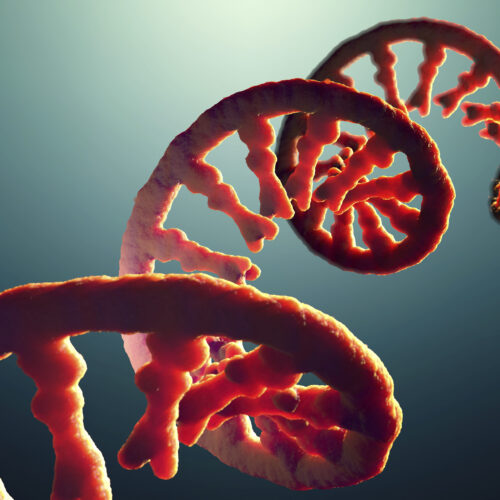 do-you-take-after-your-dad’s-rna?