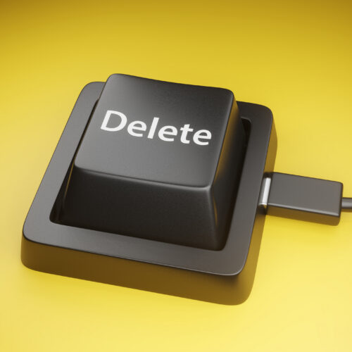 twin-brothers-wipe-96-gov’t-databases-minutes-after-being-fired