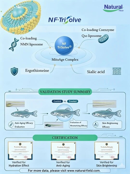 natural-field-unveils-nfco-loading-healthy-aging-innovation-at-vitafoods-europe-2026