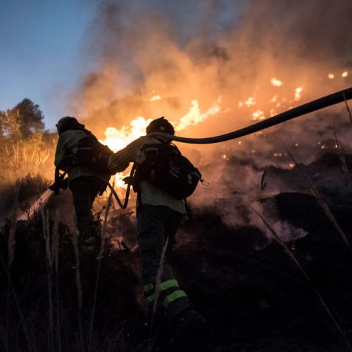 forecasters-predict-wildfires,-floods,-severe-heatwaves-from-incoming-el-nino