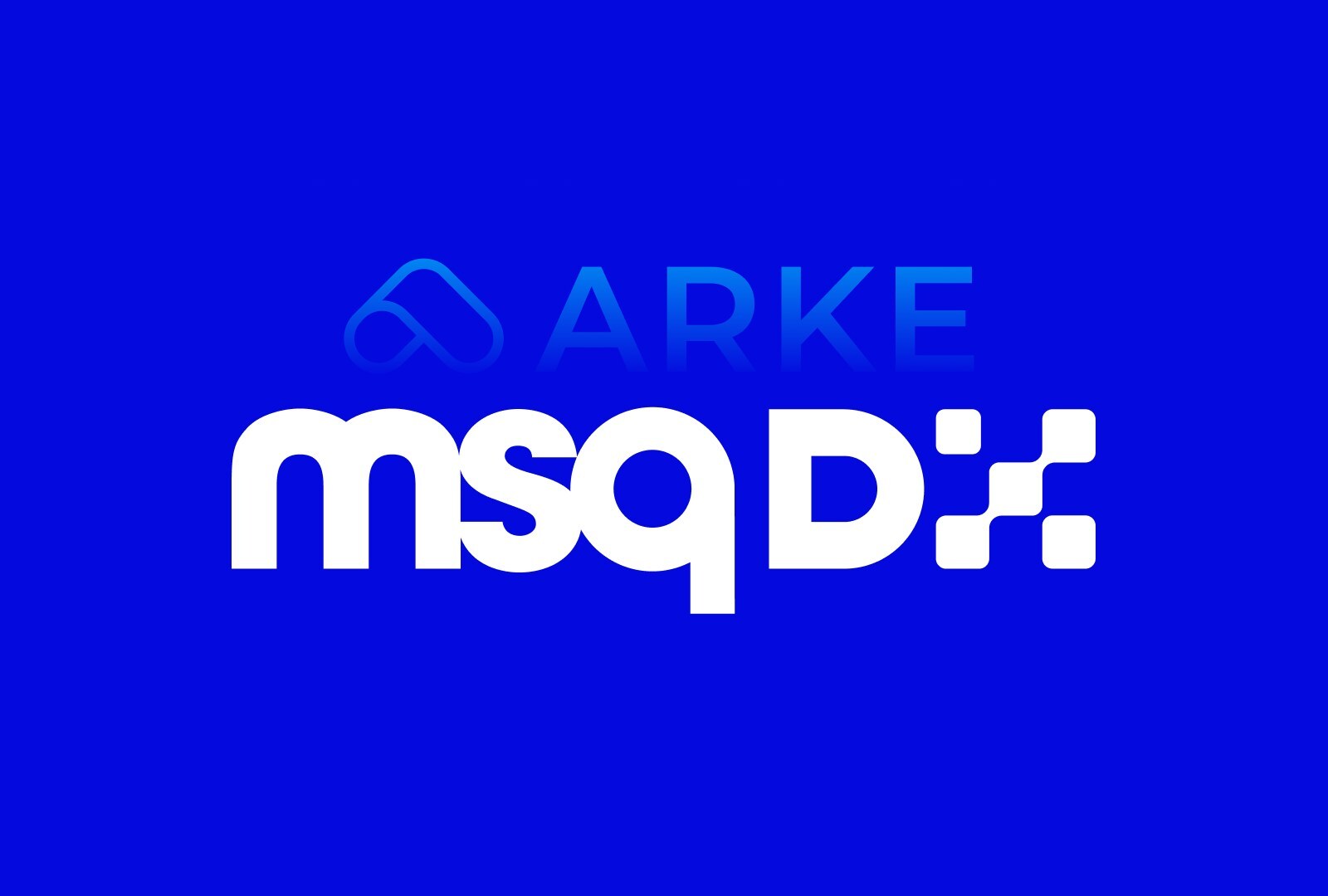 arke-officially-rebrands-to-msq-dx:-a-new-global-era-begins