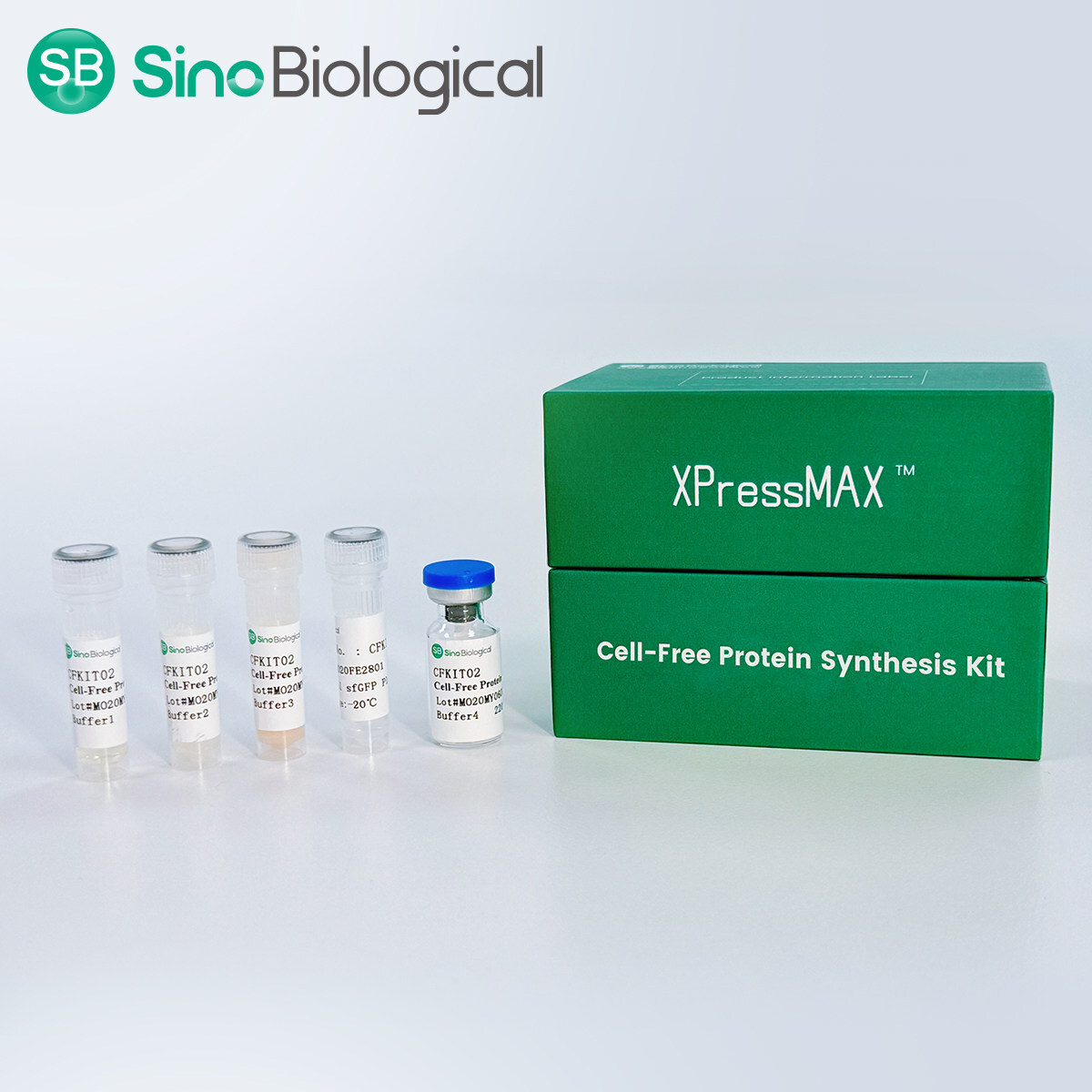 Sino Biological lanza el kit de síntesis de proteínas sin células XPressMAX™