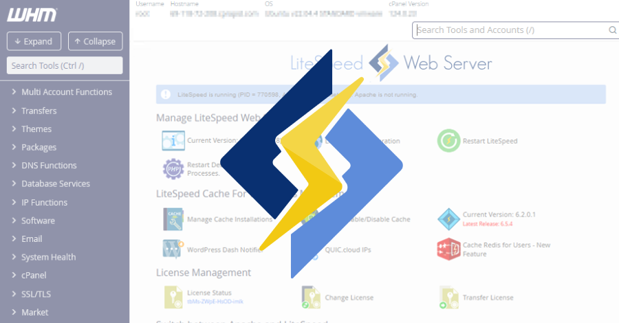 litespeed-cpanel-plugin-cve-2026-48172-exploited-to-run-scripts-as-root