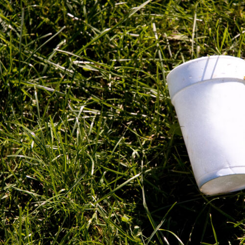your-empty-cuppa-could-capture-carbon