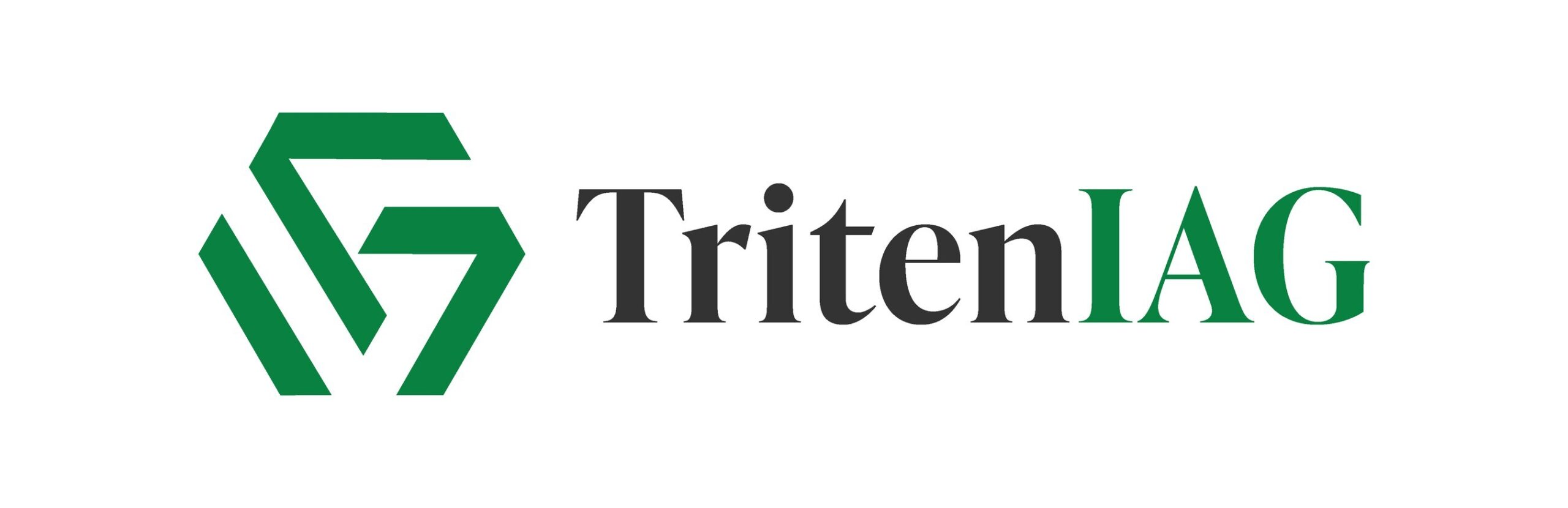 triteniag-expands-advisory-board-to-meet-ai-era-infrastructure-demand
