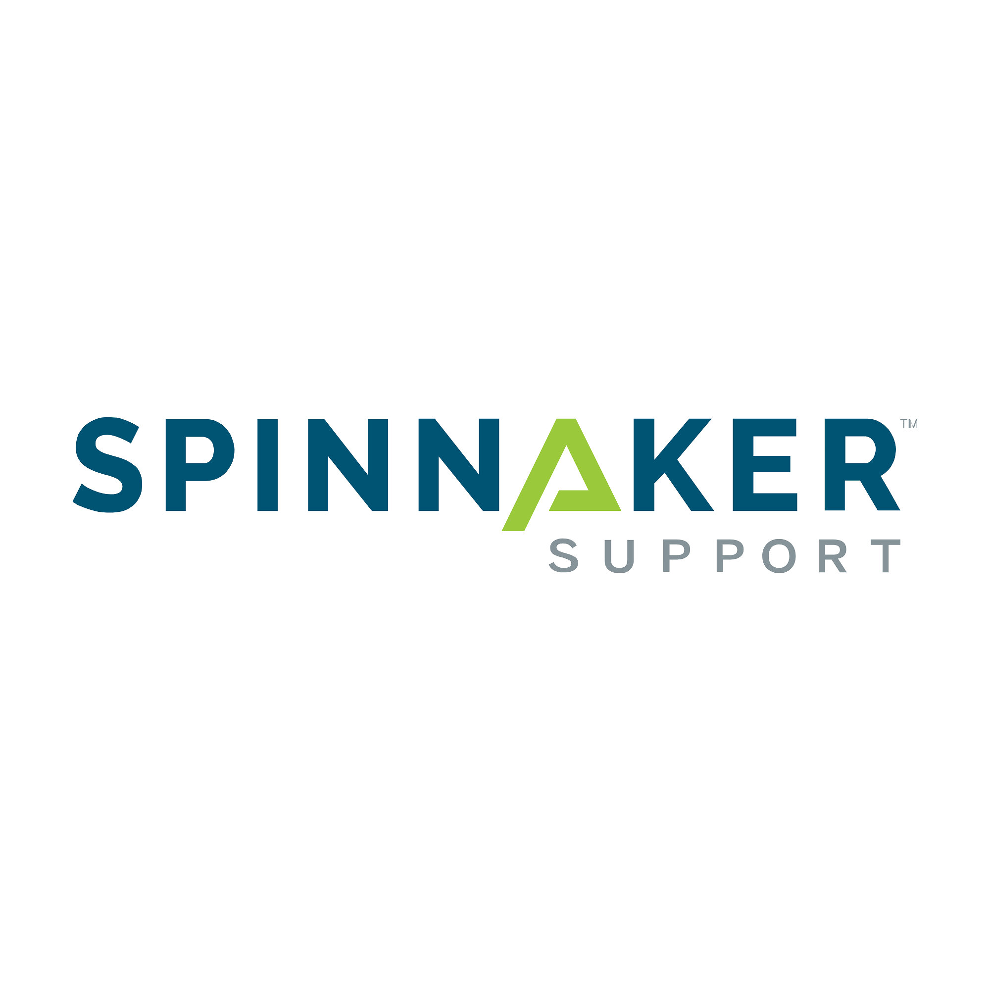 spinnaker-support-accelerates-apac-expansion,-appoints-vivek-pruthi-as-managing-director-–-apac