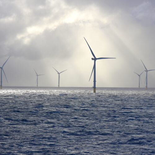 trump-admin-abandons-fight-against-wind-energy-as-clean-energy-output-surges