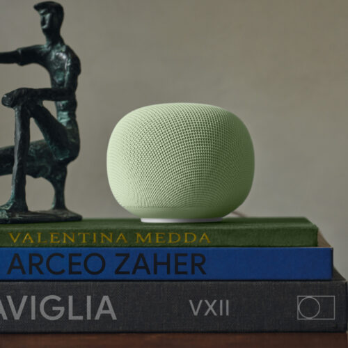 ten-months-later,-the-$100-google-home-speaker-is-finally-available-for-preorder