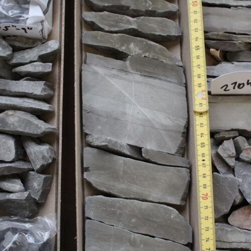 feedbacks-upon-feedbacks:-rock-weathering-and-the-climate