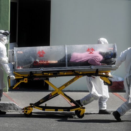 new-virus-catalog-reveals-which-pathogens-pose-the-greatest-threat