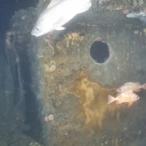 check-out-the-first-images-of-quest-shipwreck