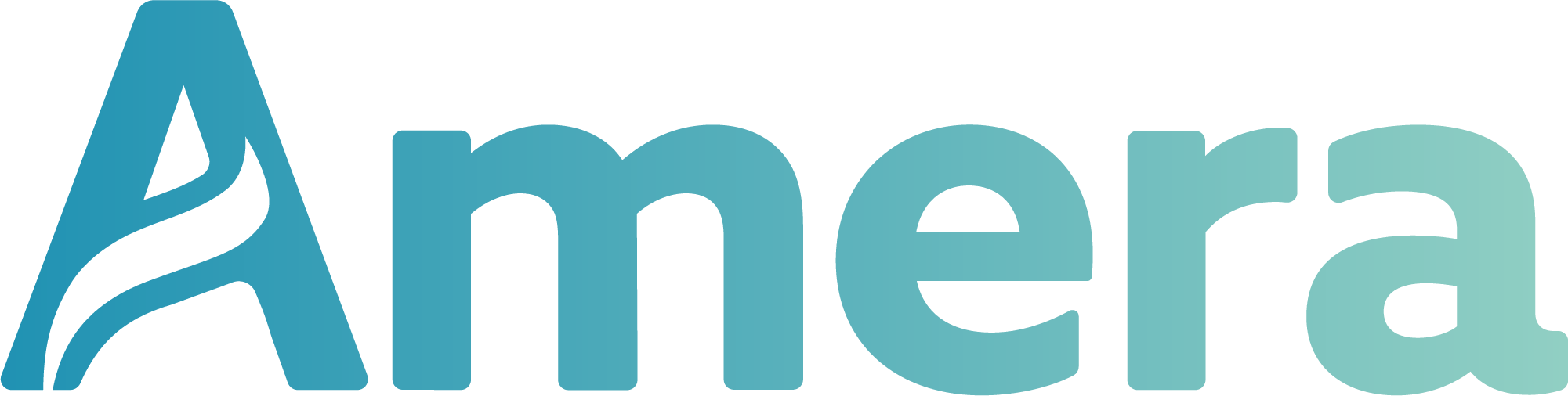 amera-partners-with-integrated-payor-solutions-(ips)-to-power-stop-loss-reporting