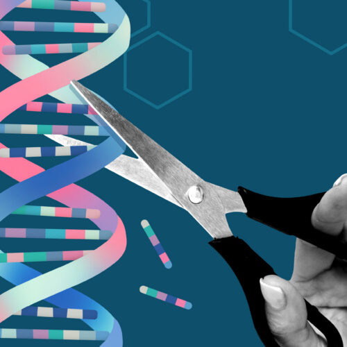 team-uses-alphafold-ai-to-redesign-gene-editing-proteins-to-make-them-safer
