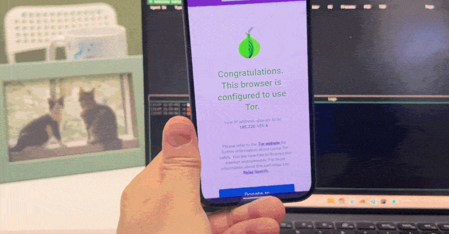 researchers-show-a-single-malicious-webpage-visit-can-compromise-tor-browser