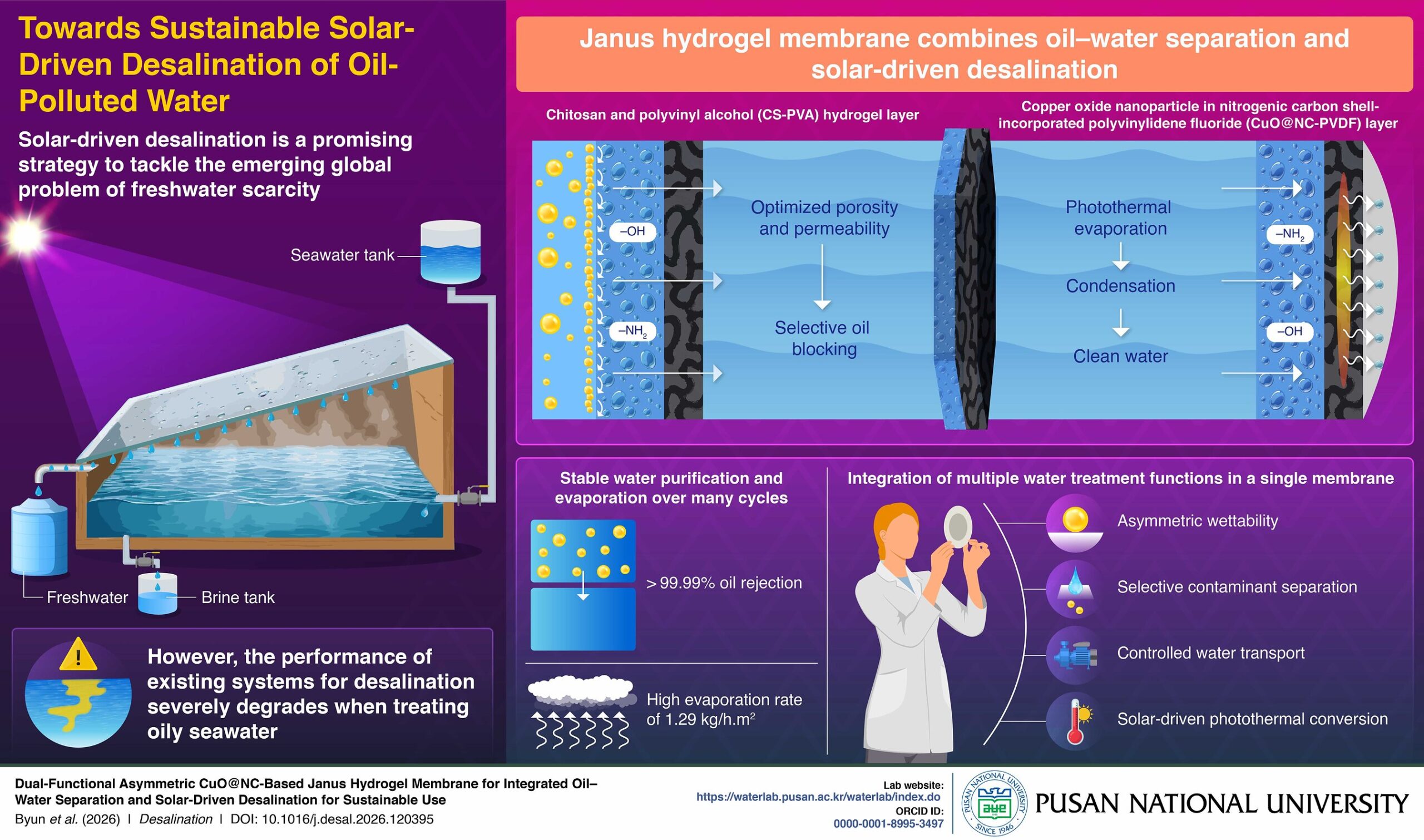pusan-national-university-study-advances-solar-desalination-with-multifunctional-membrane
