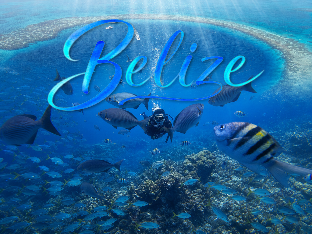divevolk-unlocks-vivo-x-fold6-underwater-imaging-in-li-zitao’s-belize-film