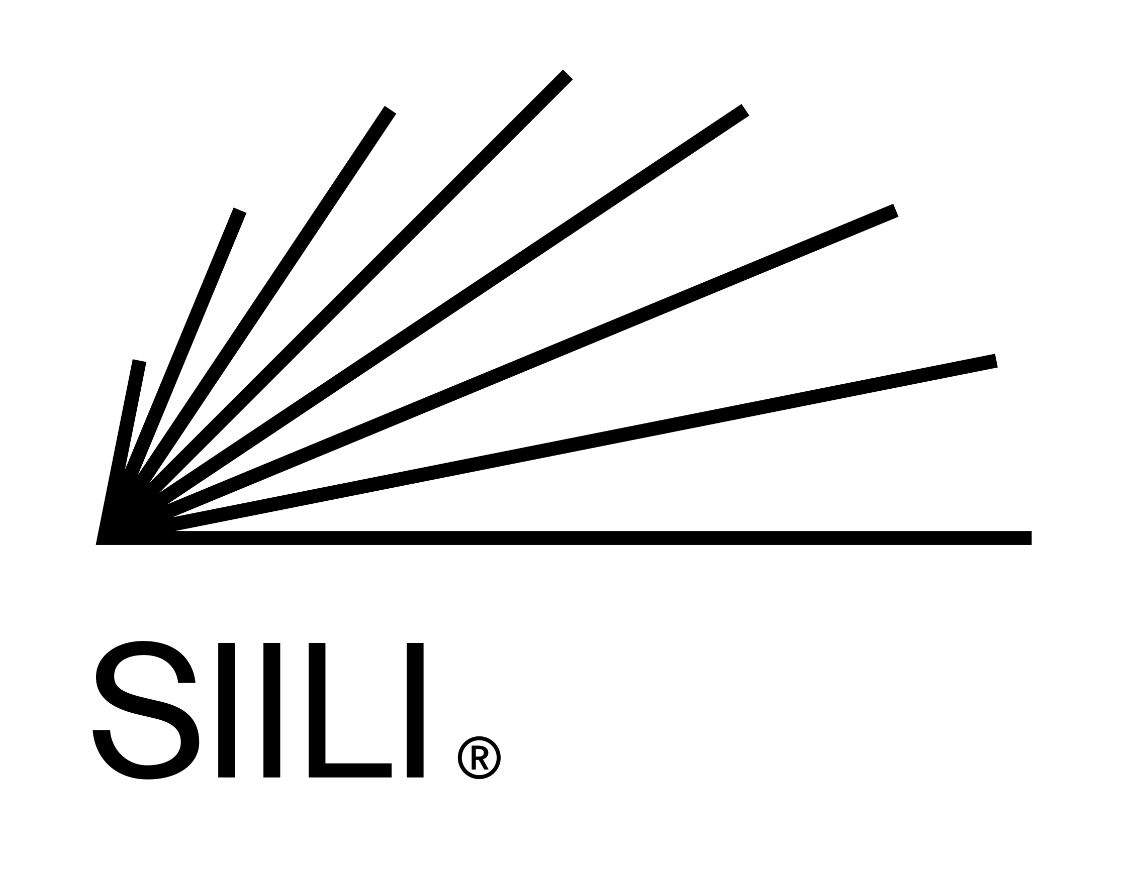 Change in Siili Solutions Plc’s Management Team