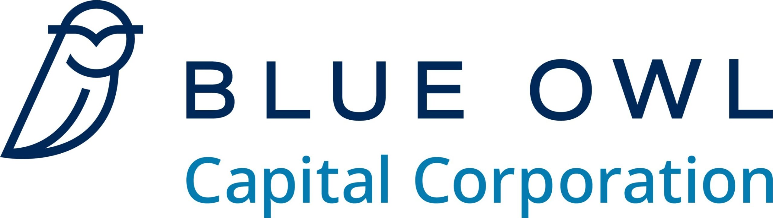 blue-owl-capital-corporation-announces-june-30,-2026-financial-results