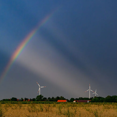 Trump is losing his war on wind power