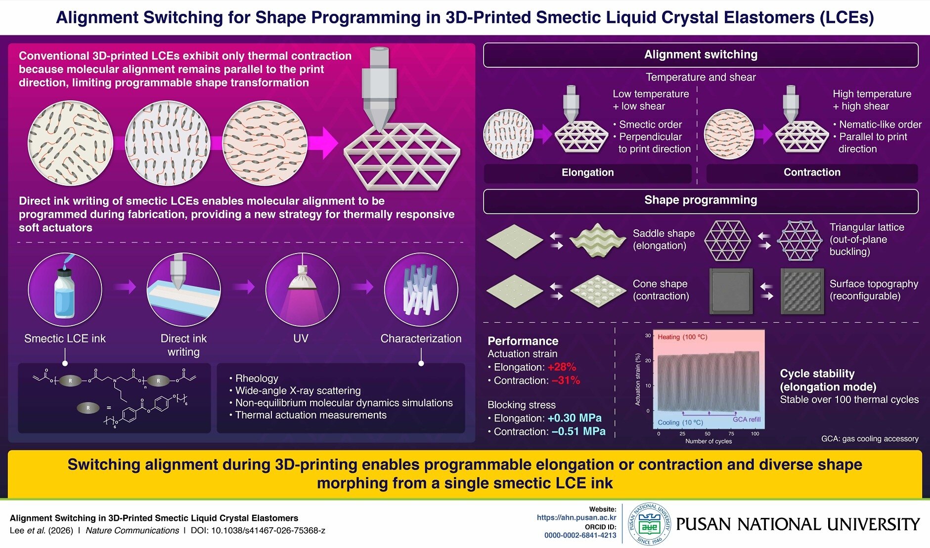 pusan-national-university-researchers-develop-3d-printing-method-for-switchable-soft-actuators