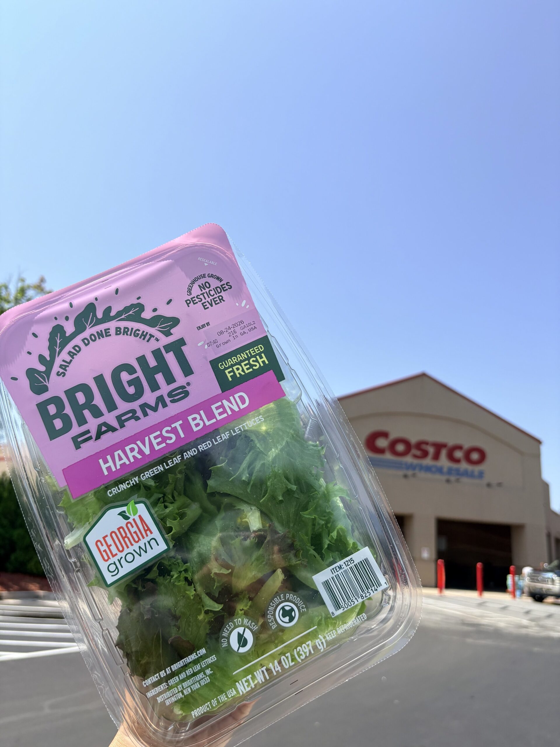 brightfarms-brings-georgia-grown-salad-greens-to-atlanta-area-costco-stores