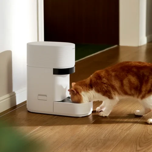 pet-owners-say-smart-pet-feeder-outage-led-to-furry-ones-going-unfed