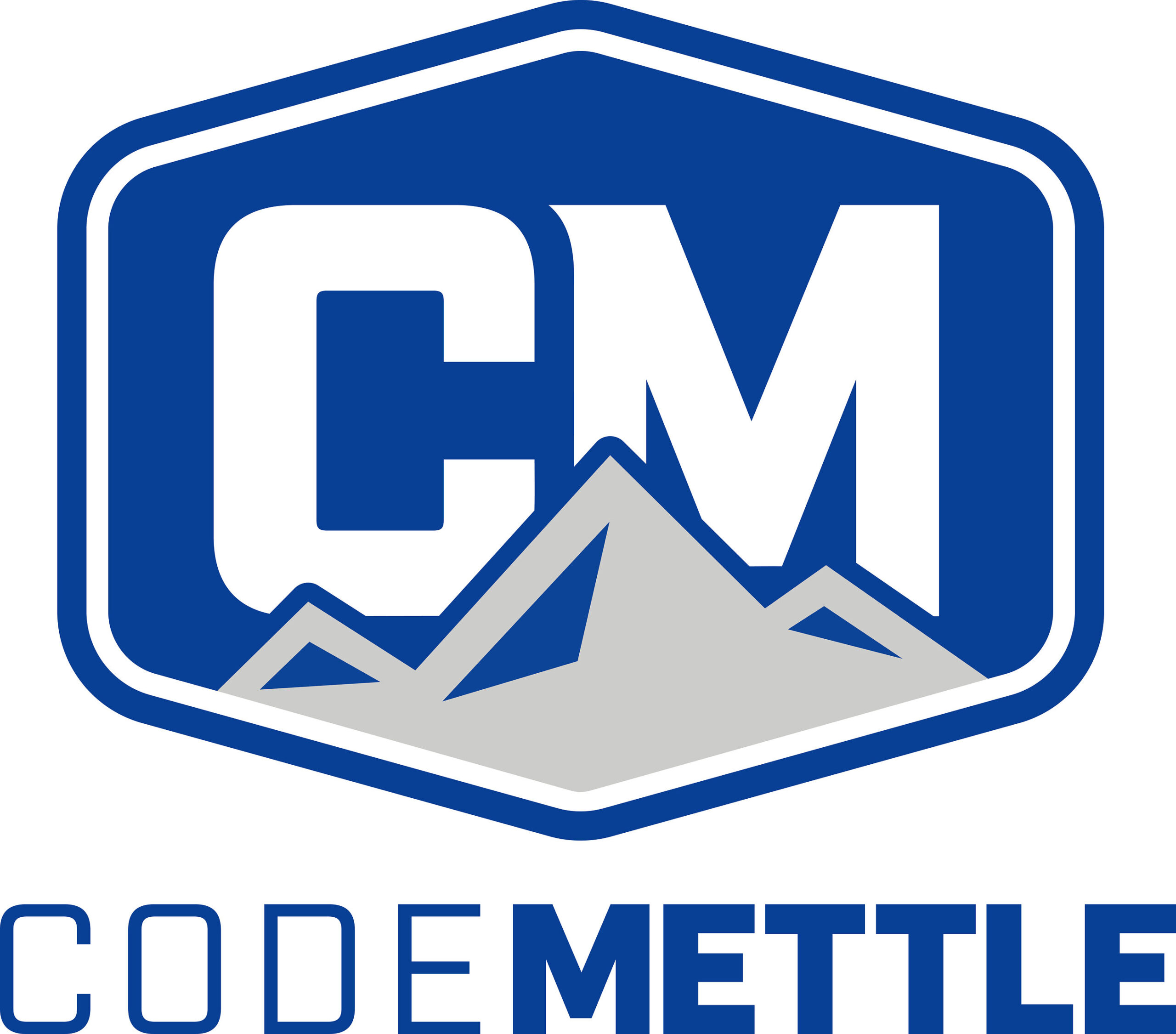 codemettle-awarded-idiq-contract-to-field-terminus-as-part-of-the-army’s-tactical-network-operations-solution