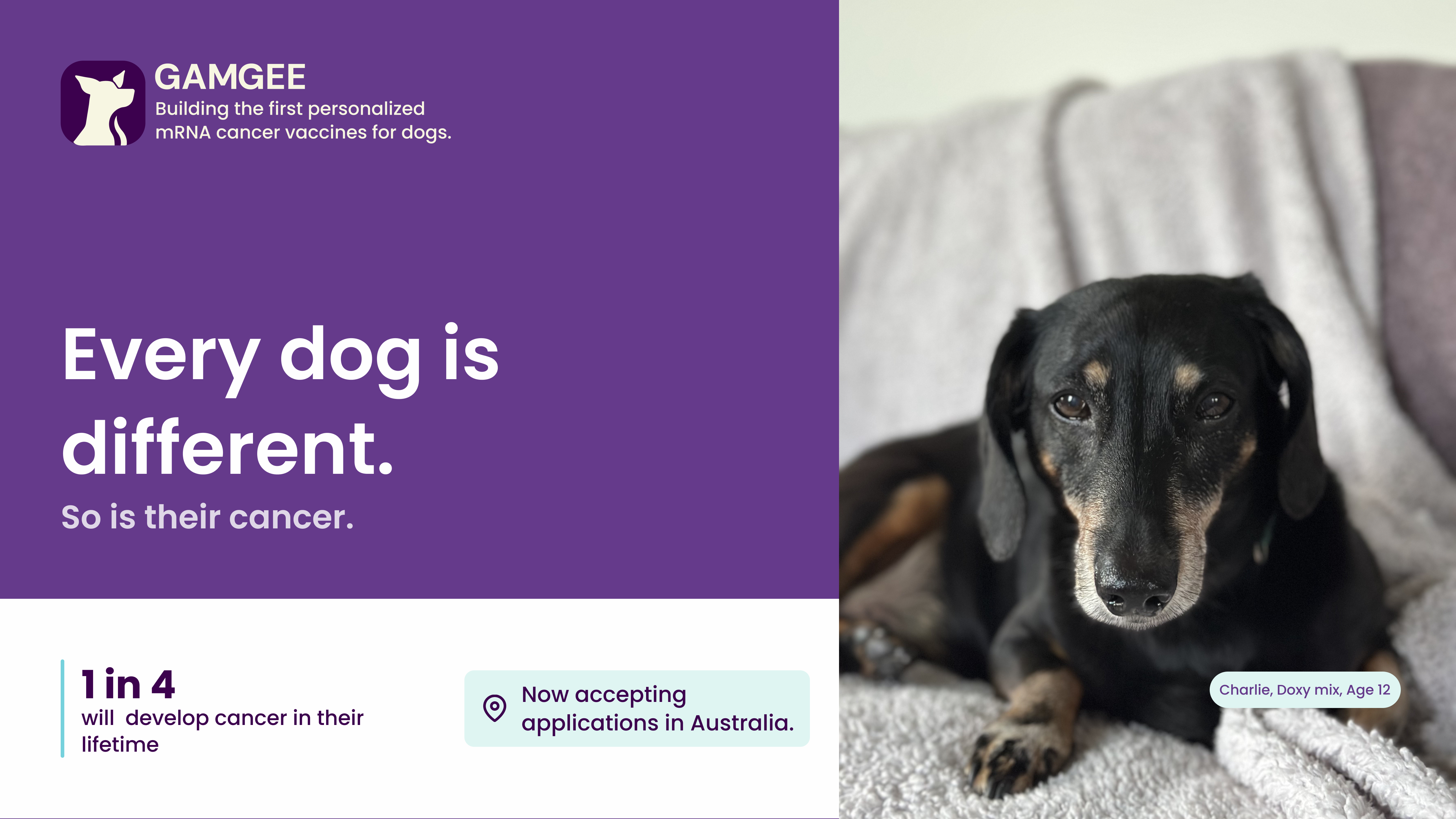 one-dog’s-legacy-becomes-gamgee