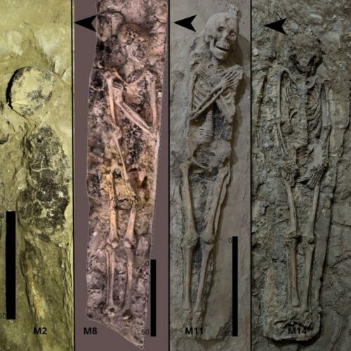 theban-tomb-reveals-how-egyptian-burial-trends-evolved-in-time